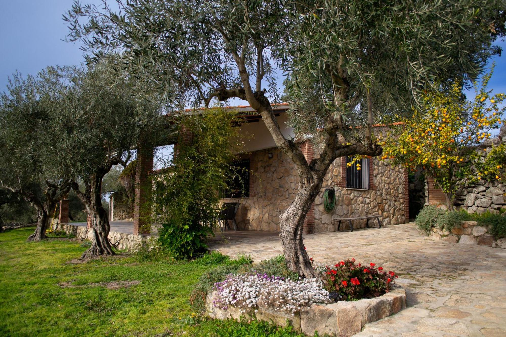 Casa Rural La Recuera Монтанчес Екстер'єр фото