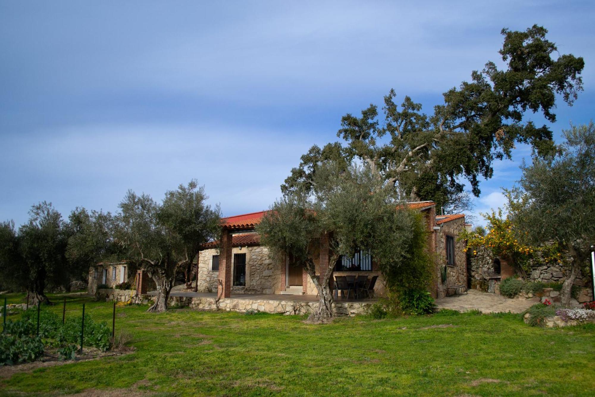Casa Rural La Recuera Монтанчес Екстер'єр фото