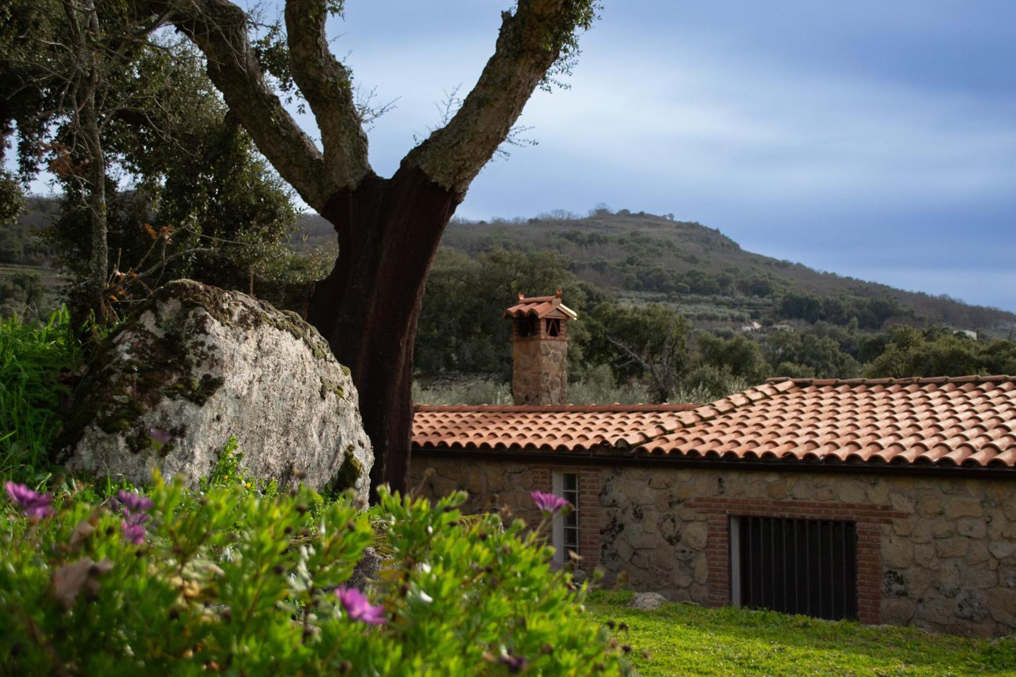 Casa Rural La Recuera Монтанчес Екстер'єр фото